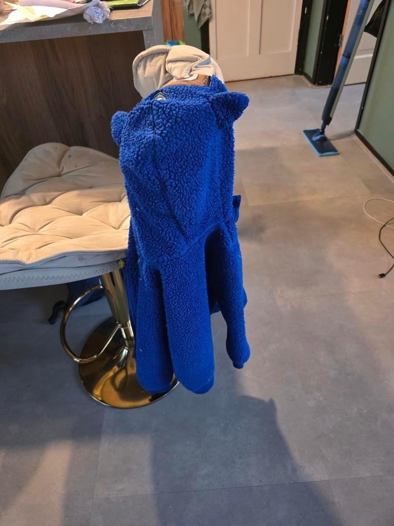 Paw Patrol jas - maat 4-5 jaar, Ophalen, Gebruikt, Paw Patrol, Jongen