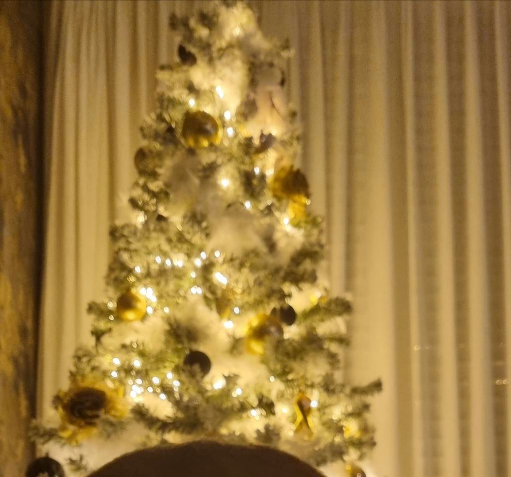 Kerstboom met sneeuw, Diversen, Ophalen, Zo goed als nieuw