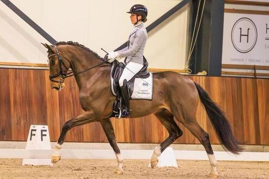 Zadelmak maken | africhten | uitbrengen | instructie, Ruiter of Bijrijder