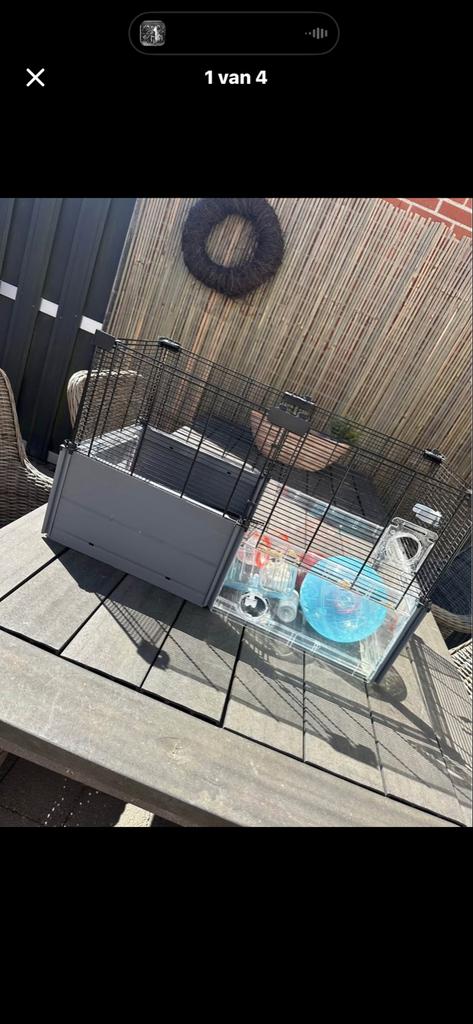 Modern hamster hok, Minder dan 60 cm, Minder dan 75 cm, Ophalen of Verzenden, Zo goed als nieuw