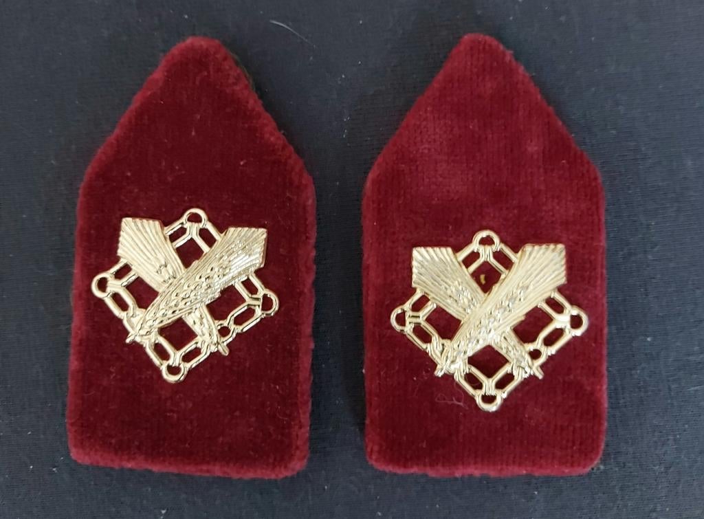 Intendant kraagspiegels, Ophalen of Verzenden, Landmacht, Nederland