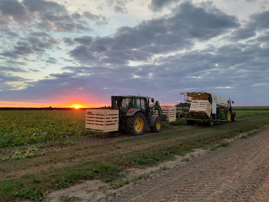 Zware hefmast, Ophalen, Overige typen