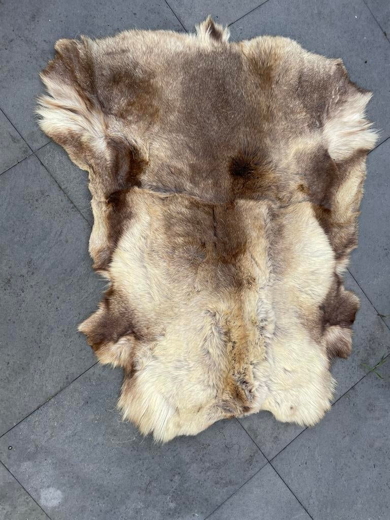 Prachtige Rendierhuid, Gebruikt, 100 tot 150 cm, Beige, Overige vormen