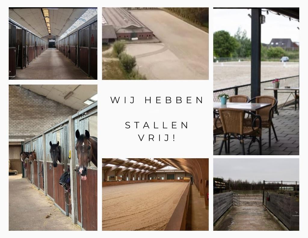 pensionstalling vrij/aangeboden nabij Tilburg, Stalling, 2 of 3 paarden of pony's