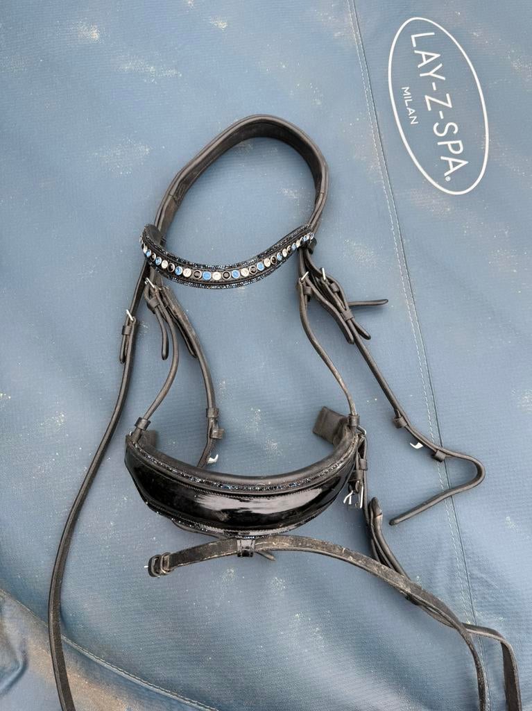 Hoofdstel en martingaal, Dieren en Toebehoren, Paarden en Pony's | Hoofdstellen en Tuigage, Ophalen of Verzenden, Gebruikt, Dressuur