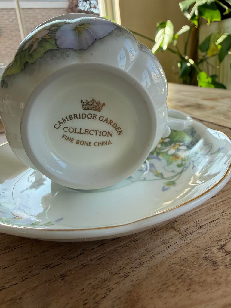 Cambridge Garden Collection Fine Bone China Kop en Schotel, Ophalen of Verzenden