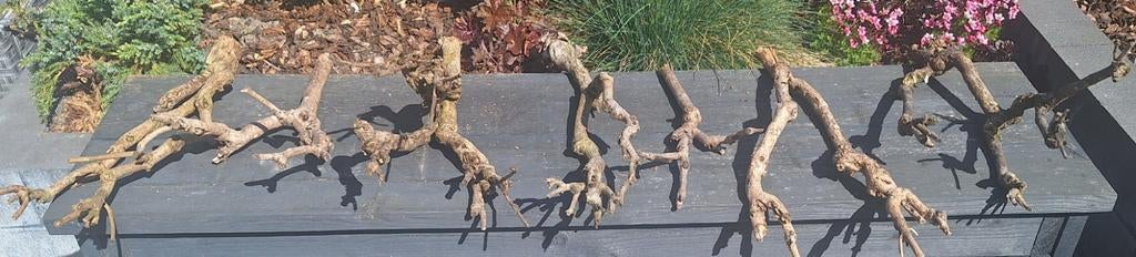 Seringentakken te koop, Ophalen