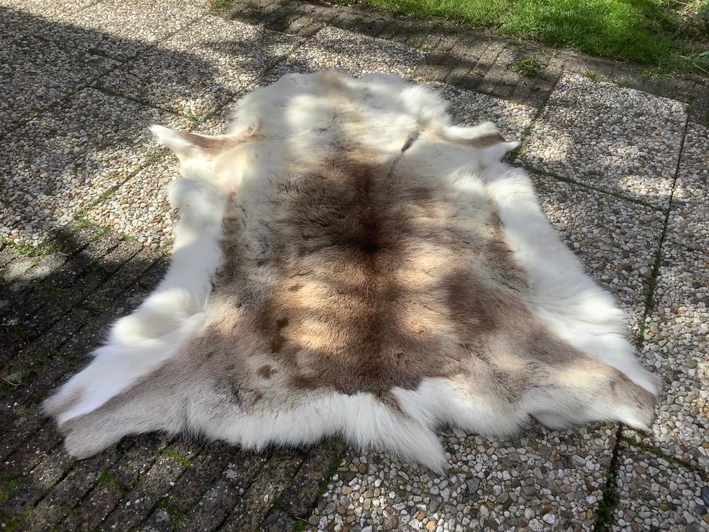 Rendierkleed, Ophalen of Verzenden, Zo goed als nieuw, Rechthoekig, 200 cm of meer