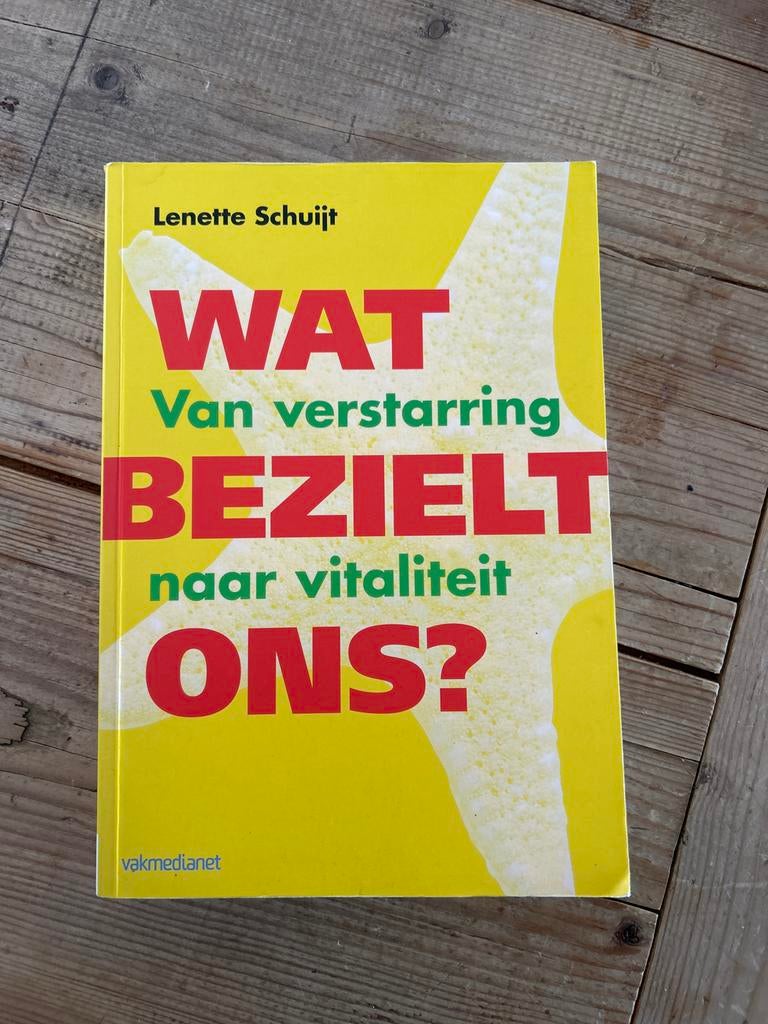 Wat bezielt ons? - Lenette Schuijt, Boeken, Ophalen of Verzenden, Zo goed als nieuw, Overige onderwerpen