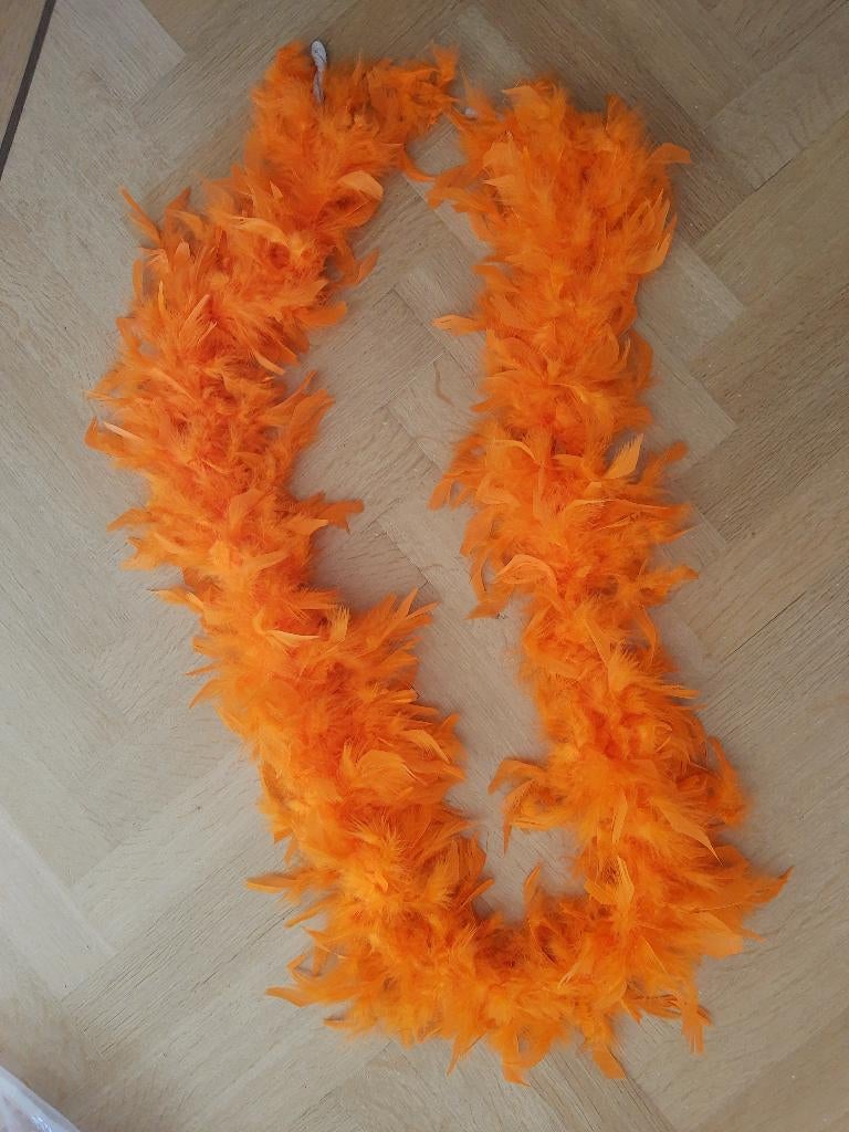 carnaval boa oranje 1 meter lang, Ophalen of Verzenden, Zo goed als nieuw, Oranje of Koningsdag, Accessoires