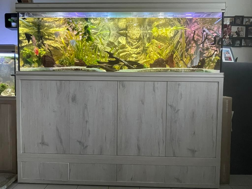 Aquatlantis aquarium 800L + meubel in België, Dieren en Toebehoren, Vissen | Aquaria en Toebehoren, Ophalen, Zo goed als nieuw