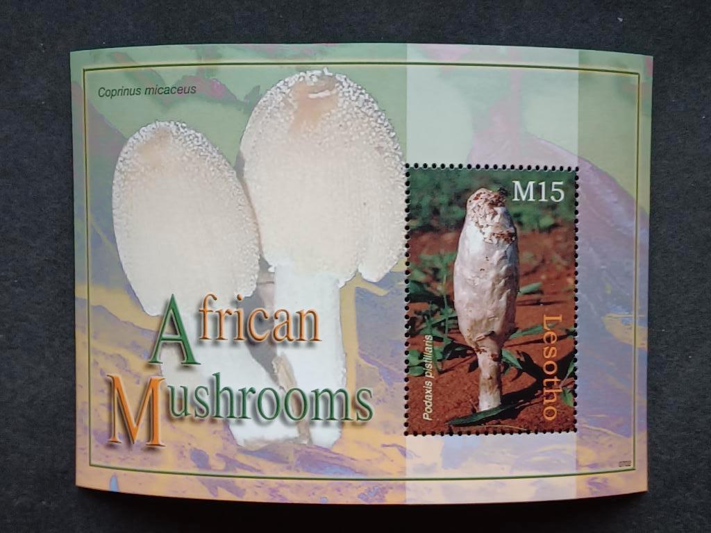 Postzegels Paddenstoelen - Lesotho, Ophalen of Verzenden, Postfris, Dier of Natuur