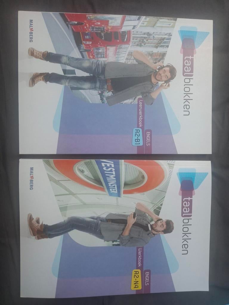 Leerboeken Engels - Taalblokken Malmberg, Boeken, Schoolboeken, Engels, Malmberg, HAVO, Ophalen of Verzenden