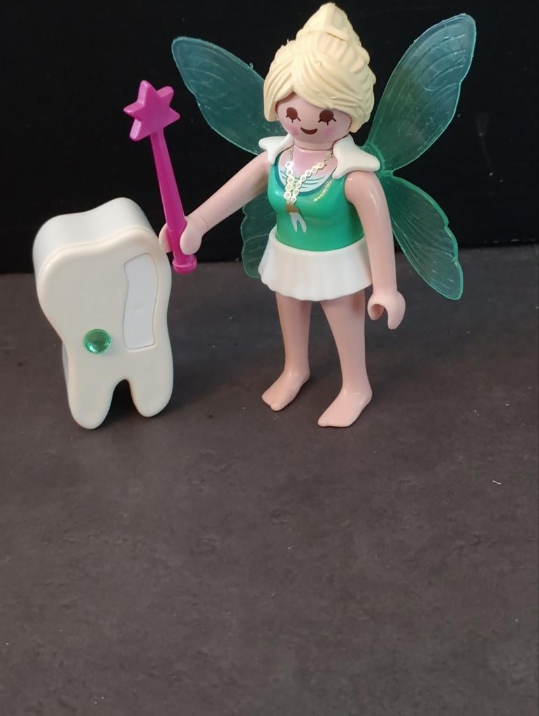 Playmobil Fairies 5381, Ophalen of Verzenden, Zo goed als nieuw, Complete set