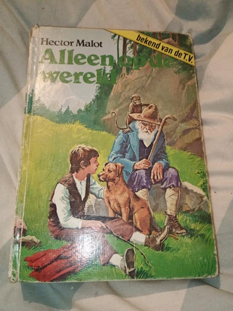 Alleen op de wereld - Hector Malot, Boeken, Literatuur, Ophalen of Verzenden, Gelezen, Hector Malot, Nederland