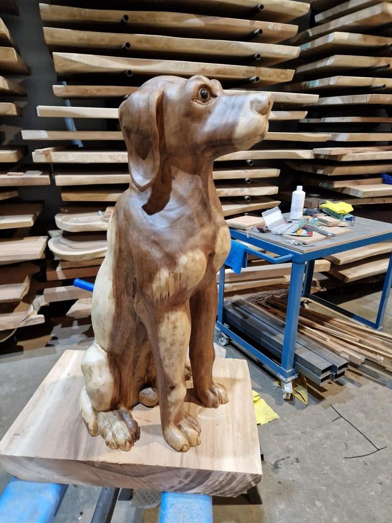 Suar houten Labrador Retriever snijwerk beeld 60 cm, Industrieel suar interieur, Info@industrieel-suar-interieur.nl, Nieuw, Ophalen of Verzenden