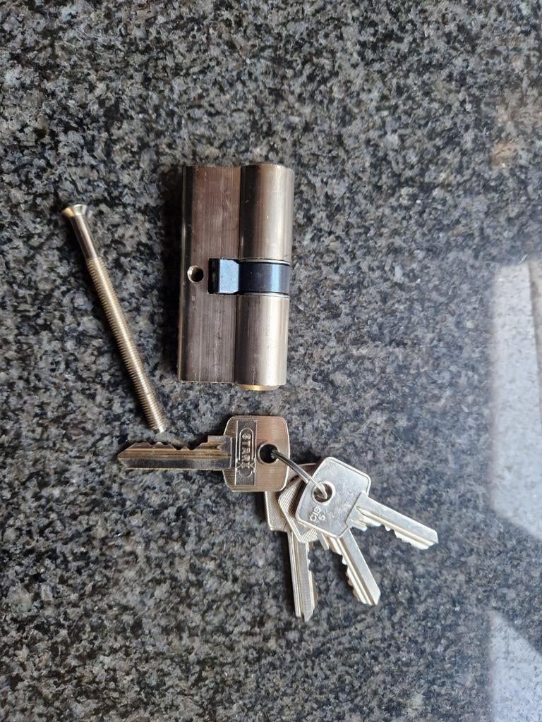 Cilinderslot inclusief sleutels en bevestigingsschroef, Ophalen of Verzenden, Zo goed als nieuw, Rvs, Slot