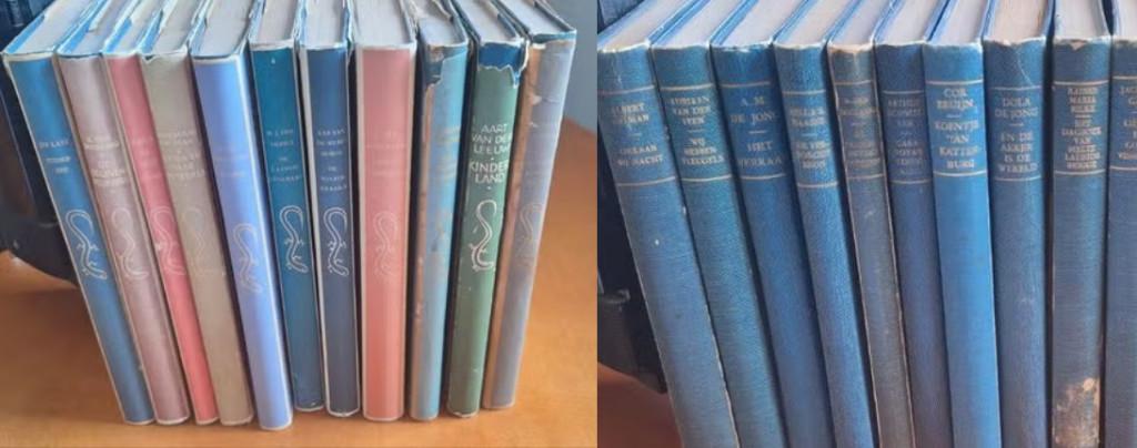 SALAMANDER COLLECTIE, Ophalen of Verzenden, Gelezen, Nederland