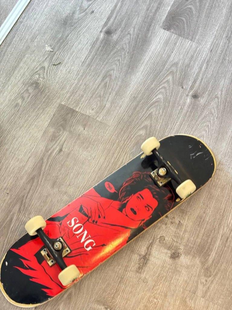 skateboard, Sport en Fitness, Skateboarden, Ophalen, Skateboard