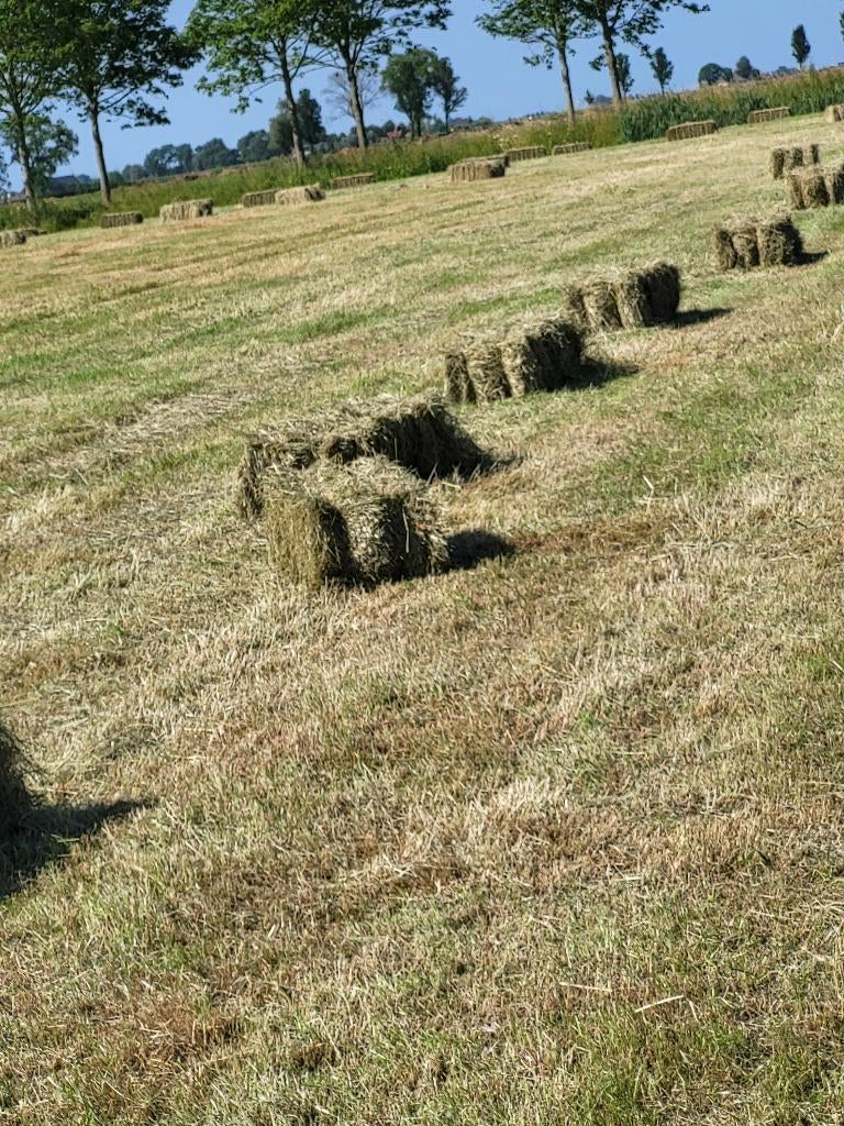 kleine hooipakjes, Dieren en Toebehoren, Dierenvoeding, Ophalen, Vee