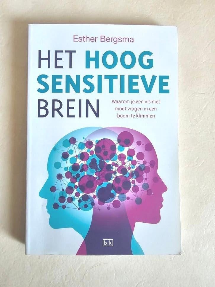 Het hoogsensitieve brein Esther Bergsma, Ophalen of Verzenden, Zo goed als nieuw