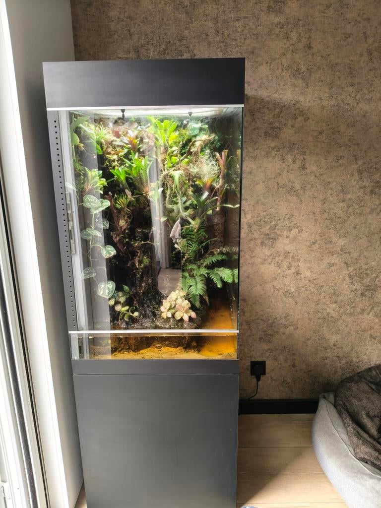 Terrarium met onderkast, Slang