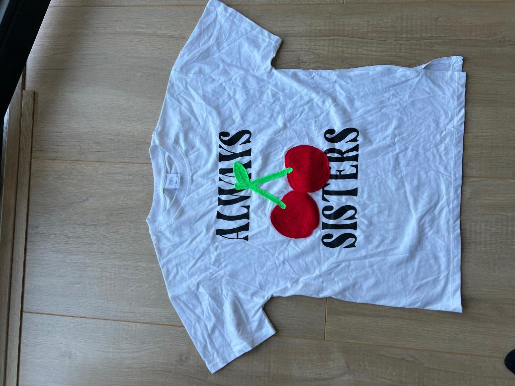 T’shirt Zara, Kinderen en Baby's, Kinderkleding | Maat 164, Meisje, Ophalen of Verzenden, Zo goed als nieuw, Zara