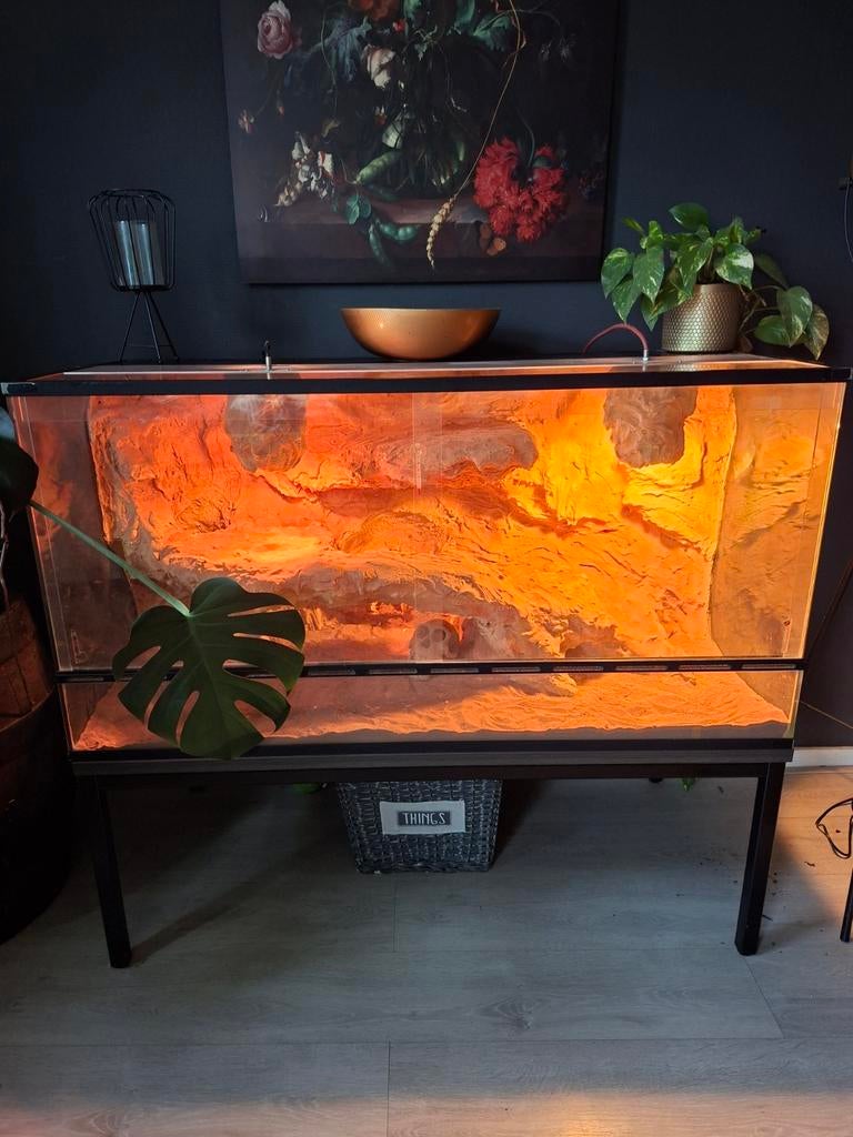 Terrarium te koop, Dieren en Toebehoren, Reptielen en Amfibieën | Toebehoren, Gebruikt, Terrarium of Paludarium, Ophalen