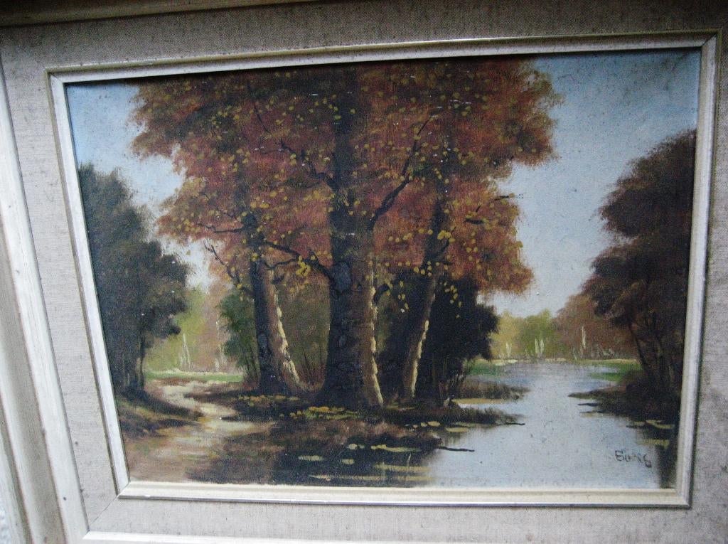 BOSGEZICHT met Water gesigneerd 53x43 cm in lijst € 25, Ophalen of Verzenden