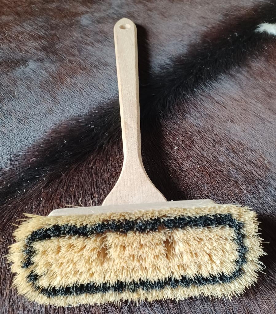 Borstel, Ophalen of Verzenden, Nieuw, Overige kleuren, Overige typen