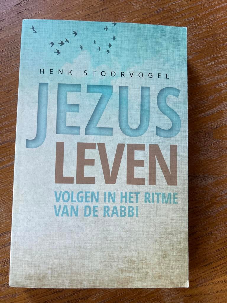 Jezus Leven - Henk Stoorvogel - Als nieuw, Ophalen of Verzenden, Zo goed als nieuw, Christendom | Protestants