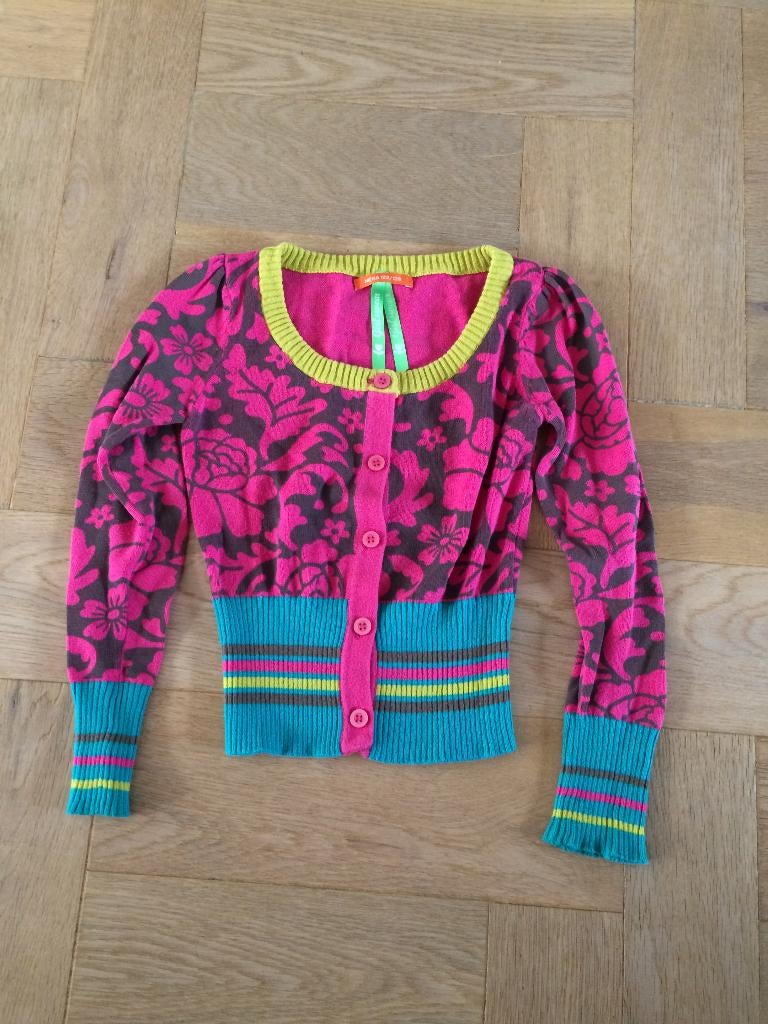 Leuk zgan kleurig vest van de Hema 122/128, Meisje, Trui of Vest, Ophalen of Verzenden, Zo goed als nieuw