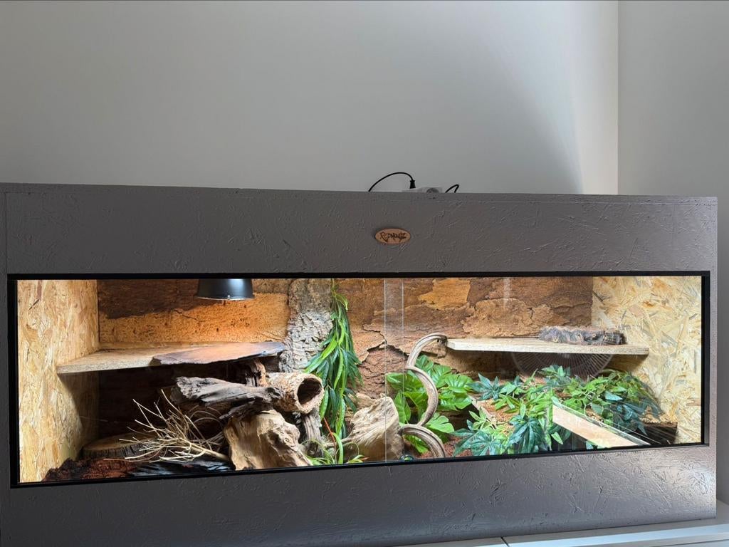 Osb3 terrarium RepHouSZ. Ook maatwerk, Ophalen, Nieuw, Terrarium of Paludarium