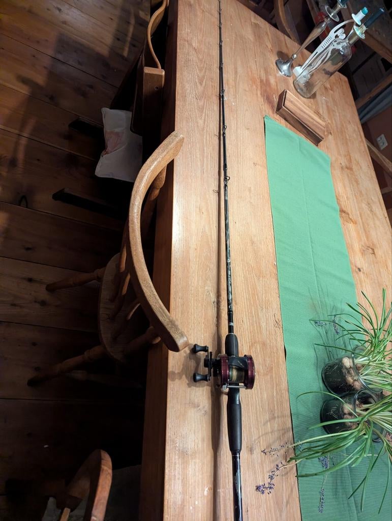 Abu Garcia Ambassadeur & abu garcia Venerate ,baitcaster set, Watersport en Boten, Ophalen of Verzenden, Zo goed als nieuw, Werphengel