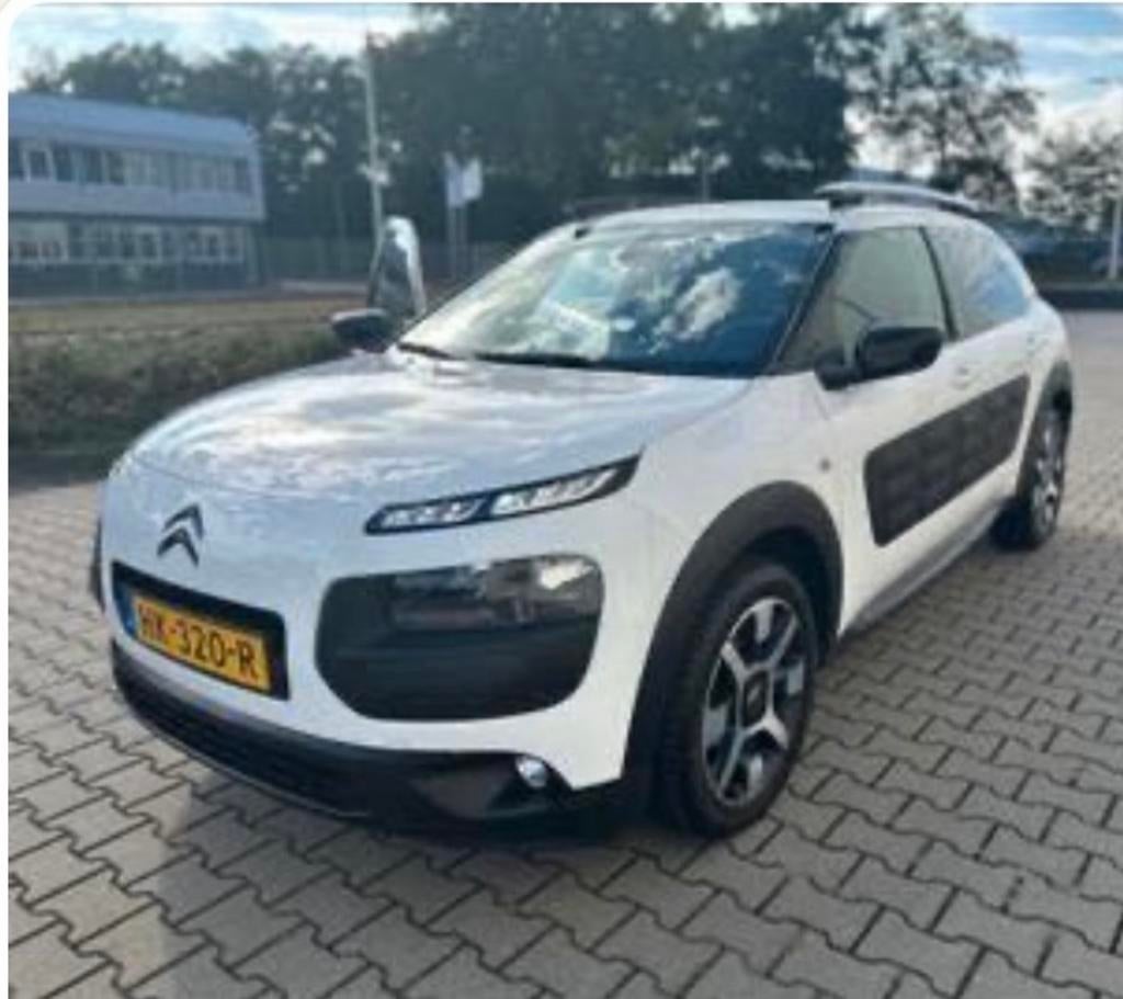 Citroën C4 Cactus Automaat 2015 | Airco,Cruise, panoramadak, 725 kg, 31 €/maand, Origineel Nederlands, Particulier