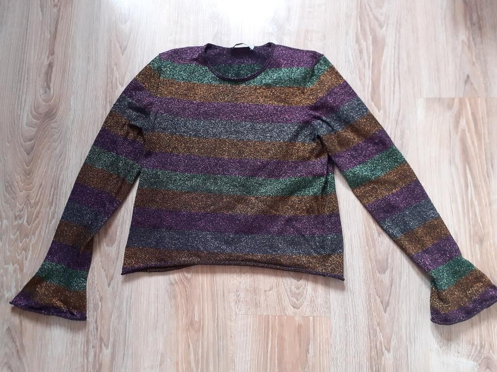 Leuk glitter truitje van Zara maat M, Kleding | Dames, Maat 38/40 (M), Ophalen of Verzenden, Zo goed als nieuw, Zara