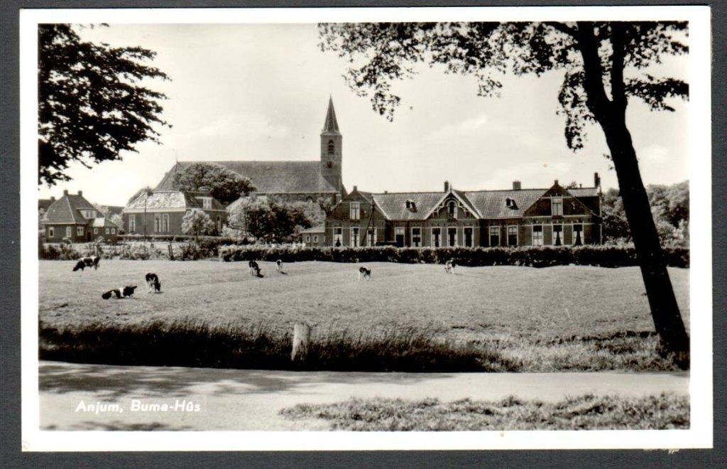 Oude ansicht - Anjum - Buma-Hus -1940-1960 - Frl., Verzamelen, Ophalen of Verzenden, 1940 tot 1960, Gelopen, Friesland