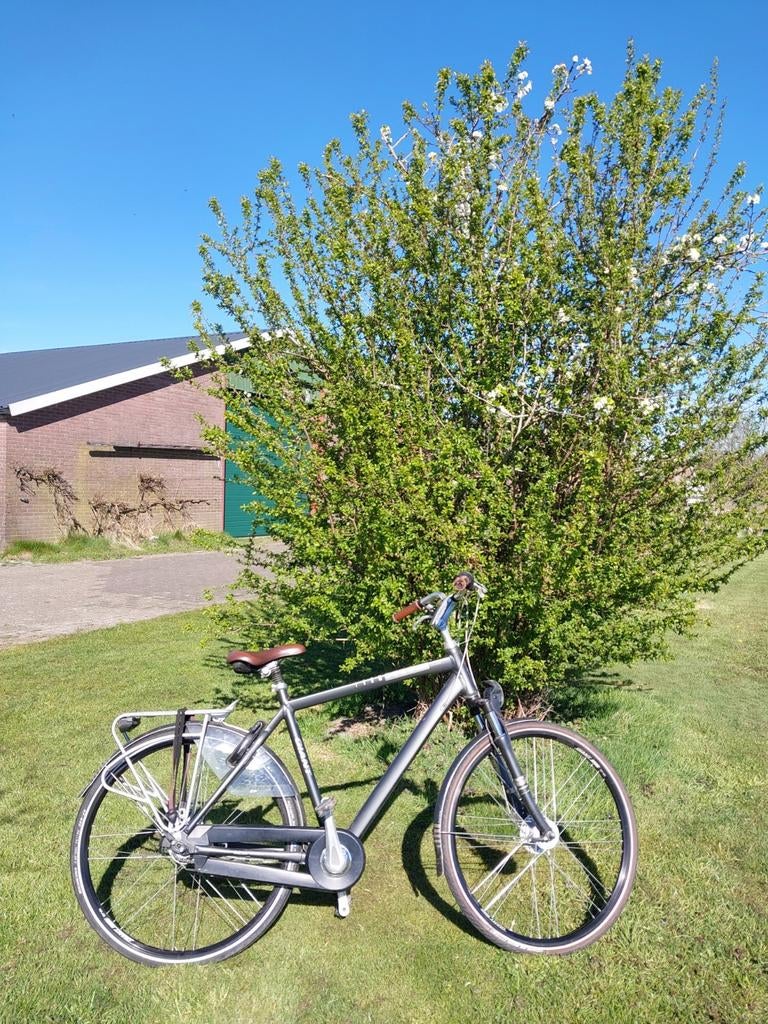 Mooie Giant 8 versnellingen, Fietsen en Brommers, Fietsen | Heren | Herenfietsen, Zo goed als nieuw, Giant, Versnellingen, Ophalen