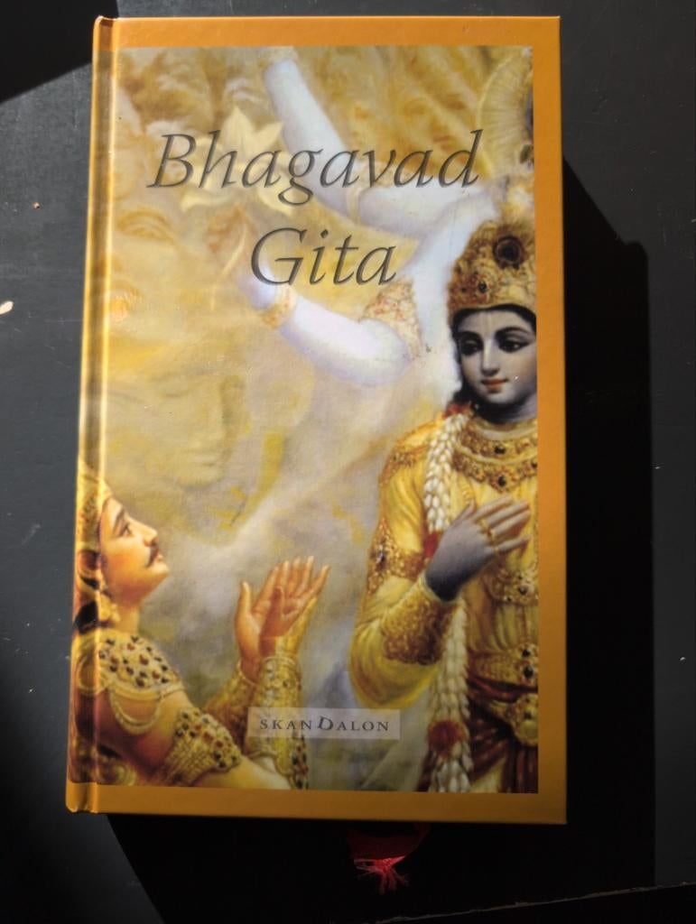 Guus Nooteboom - Bhagavad Gita, Hindoeïsme, Ophalen of Verzenden, Zo goed als nieuw, Guus Nooteboom