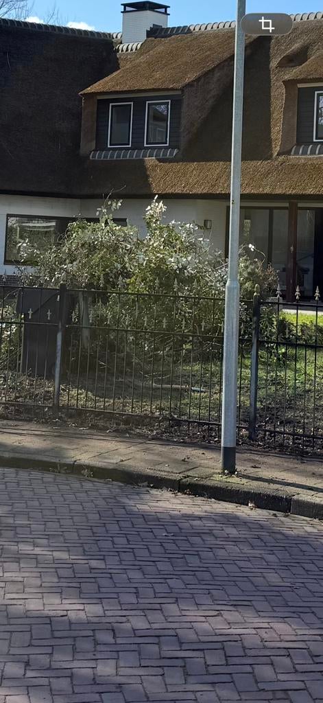 Gratis snoeiafval 2 bulten  (paasvuur), Ophalen, Gebruikt