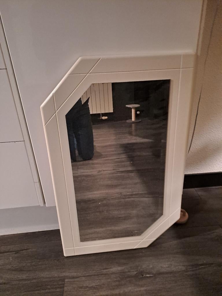 Schitterende badkamer of toiletspiegel 50x80 cm, Ophalen, Gebruikt, Minder dan 100 cm, Overige vormen