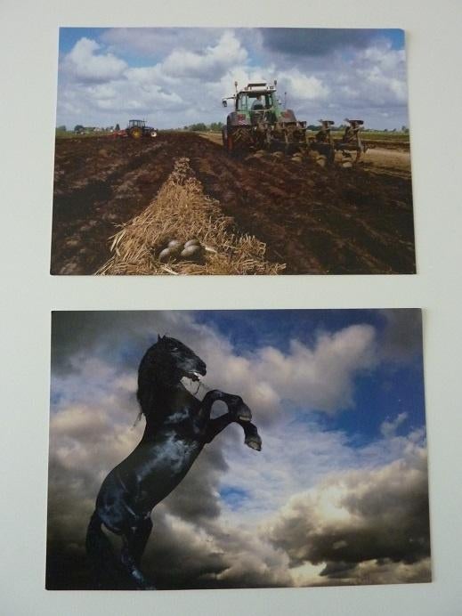 FRIESLAND BANK retro kaarten bank is opgeheven, Ophalen, 1960 tot 1980, Ongelopen, Politiek en Historie