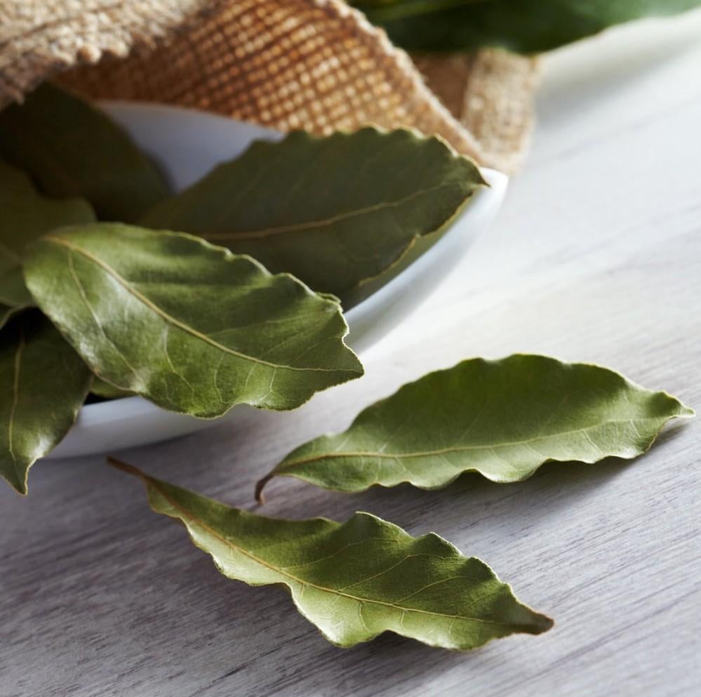 laurier, Ophalen of Verzenden