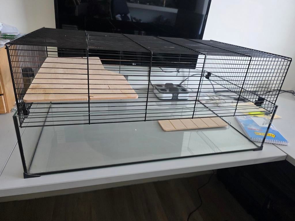 Gerbil/Hamsterkooi, Dieren en Toebehoren, Knaagdieren en Konijnen | Hokken en Kooien, Ophalen of Verzenden, Minder dan 75 cm, Kooi