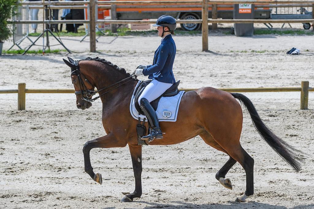 Dressuur instructie, Paardrijles of Ponykampen