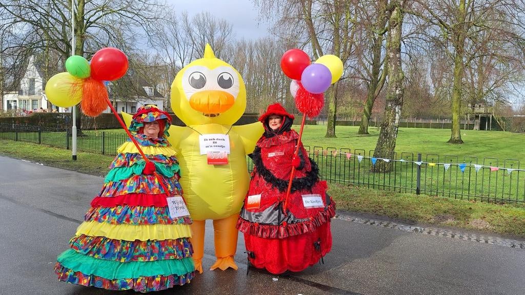 Optocht duo wijde rokken, Ophalen of Verzenden, Zo goed als nieuw, Maat 46/48 (XL) of groter, Carnaval