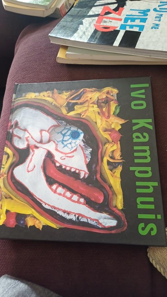 Ivo kamphuis kunst boek, Ophalen of Verzenden, Zo goed als nieuw, Boek of Gids
