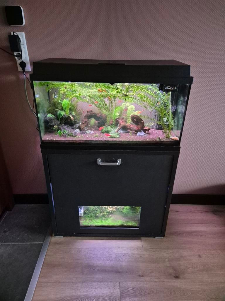 Aquarium, Ophalen, Zo goed als nieuw, Leeg aquarium