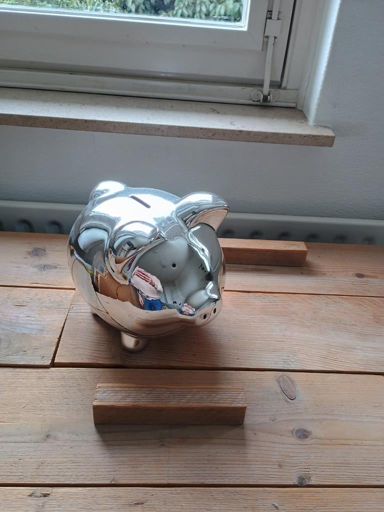 Zilveren spaarvarken, Ophalen, Zo goed als nieuw, Steen, Aardewerk of Keramiek, Dier