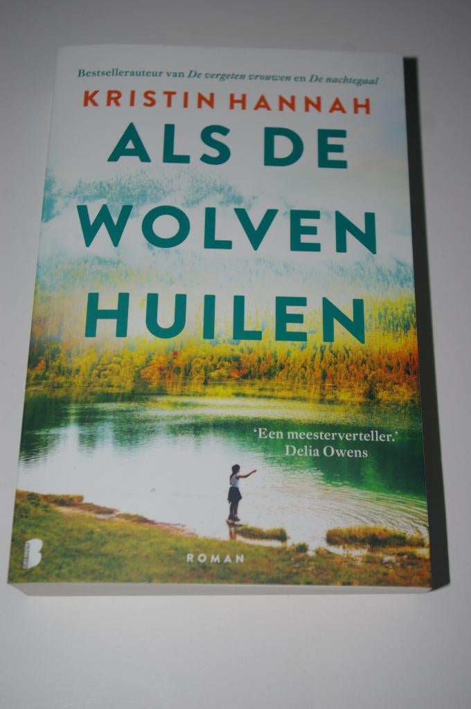 Kristin Hannah romans, Ophalen of Verzenden, Zo goed als nieuw, Kristin Hannah